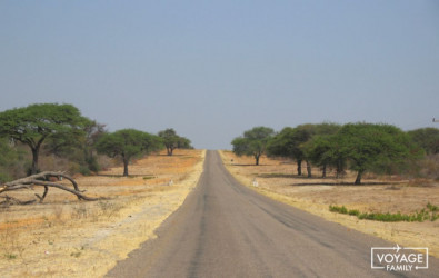 conduire 4x4 sur les pistes du botswana en famille